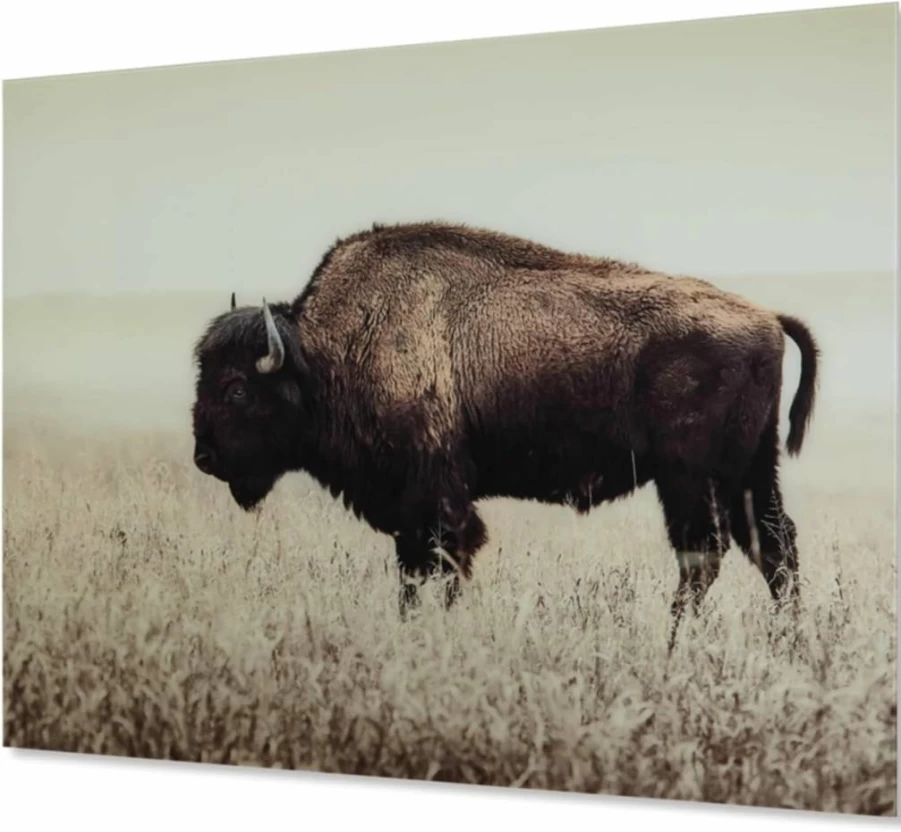 Signature Design by Ashley Brutus Rustic Bison Canvas Wall Art - 48x36 Inches, Brown Framed American Buffalo Painting, Western Home Decor