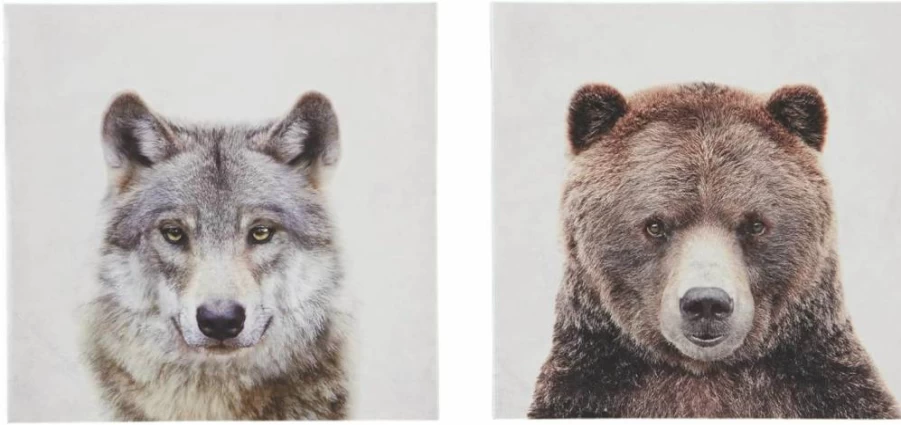 Signature Design by Ashley Albert 2-Piece Wolf and Bear Canvas Wall Art Set, 14x14 Inches, Gray and Brown Wildlife Decor for Home or Office
