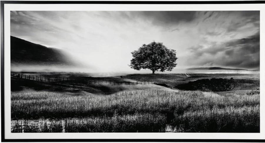 Signature Design by Ashley Deborland Modern Framed Pasture Print Wall Art 87x46 Inches Black & White Landscape Canvas Painting for Living Room Decor