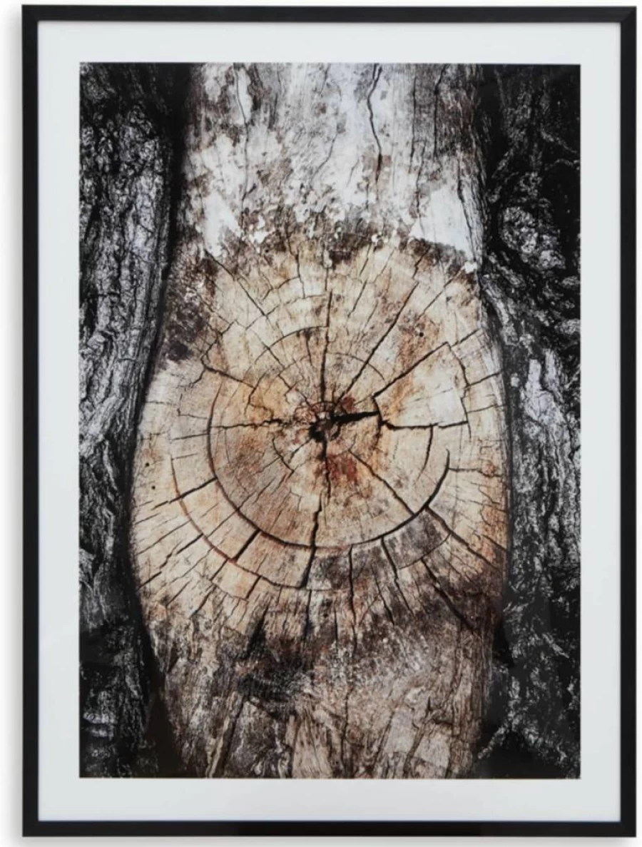 Signature Design by Ashley Freyburn Contemporary Framed Wall Art 30x40 Inches, Light Brown & Black Nature-Themed Rectangle Painting
